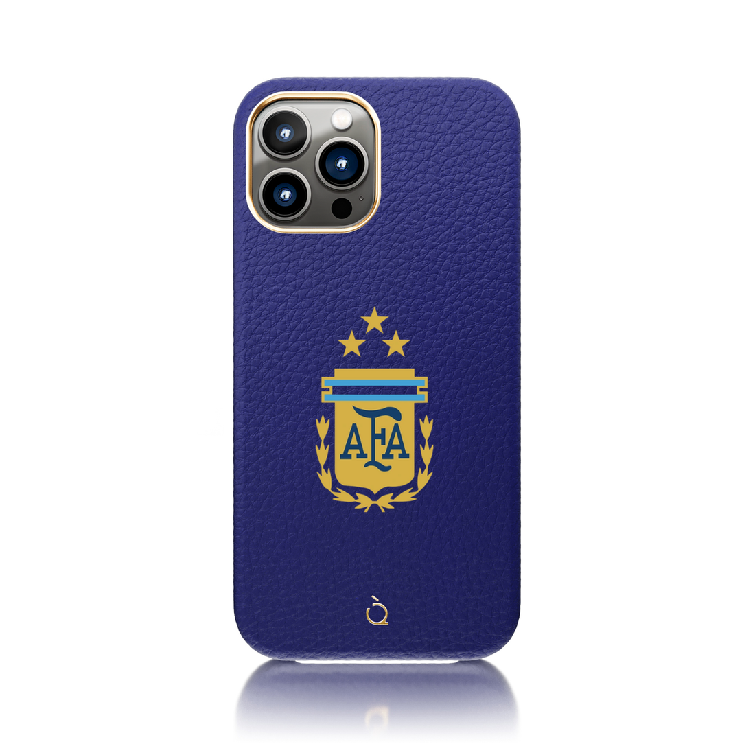 Football 13PROMAX Argentina